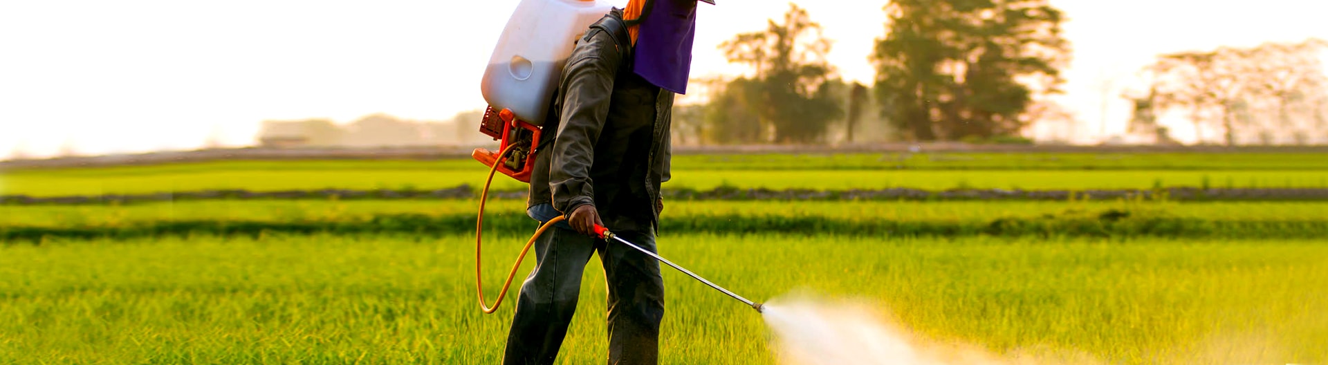 <h1>İlaçlama Hizmetleri</h1>
page-slider1