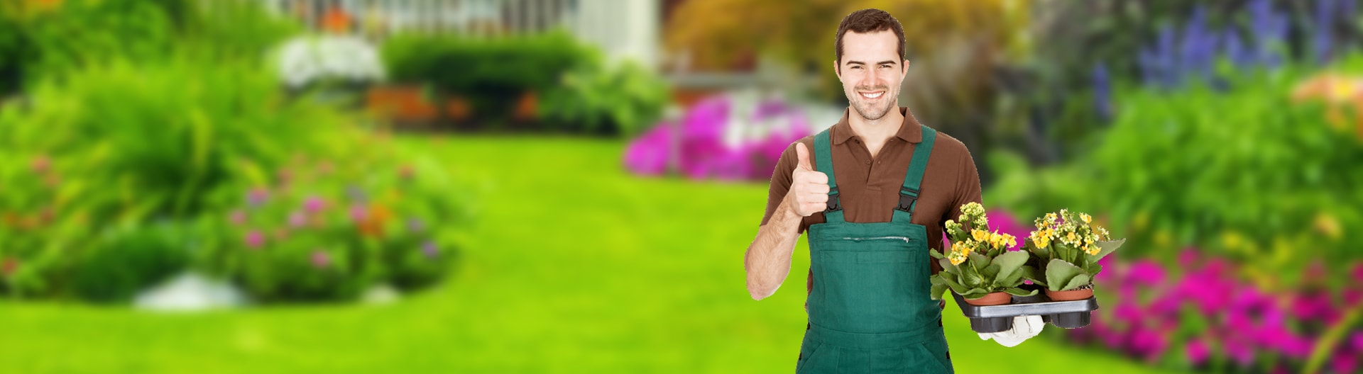 <h1>Peyzaj Hizmetleri</h1>
page-slider1